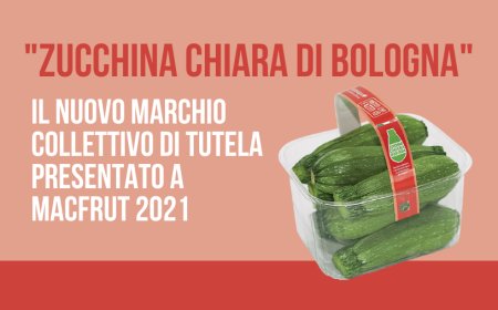 "Zucchina chiara di Bologna". Il nuovo marchio collettivo di tutela presentato a MacFrut 2021