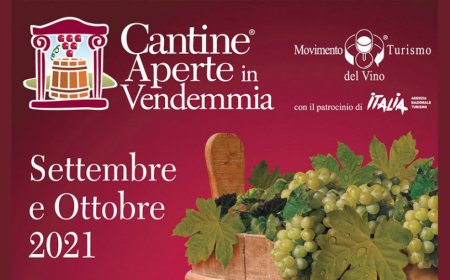 Al via Cantine Aperte in Vendemmia, l'evento firmato Movimento Turismo del Vino