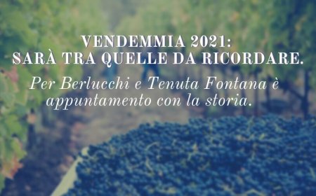 Vendemmia 2021: sarà tra quelle da ricordare. Per Berlucchi e Tenuta Fontana è appuntamento con la storia.