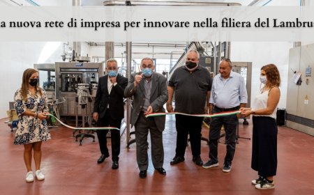Una nuova rete di impresa per innovare nella filiera del Lambrusco