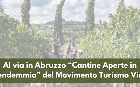 Al via in Abruzzo “Cantine Aperte in Vendemmia” del Movimento Turismo Vino