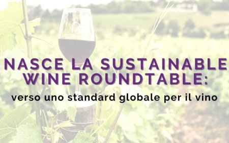 Nasce la Sustainable Wine Roundtable: verso uno standard globale per il vino