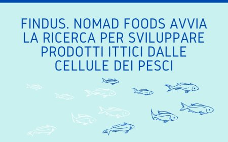 Findus. Nomad Foods avvia la ricerca per sviluppare prodotti ittici dalle cellule dei pesci