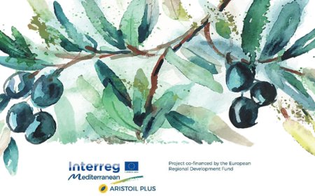 Olio: Il futuro è un olio EVO più performante per la salute