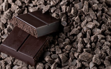 Cioccolato di Modica IGP protagonista al Fico di Bologna per il weekend delle DOP e IGP italiane