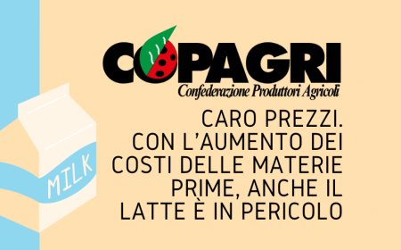 Caro prezzi. Con l'aumento dei costi delle materie prime, anche il latte è in pericolo