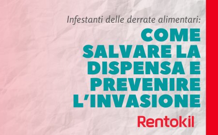 Infestanti delle derrate alimentari: come salvare la dispensa e prevenire l’invasione