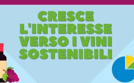 Cresce l'interesse verso i vini sostenibili