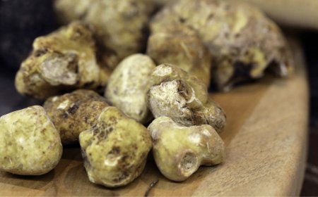Il prezzo del tartufo schizza a 4.000 euro al kg