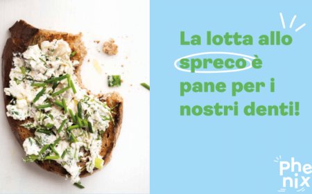 Phenix, startup dell'antispreco, acquisisce Myfoody