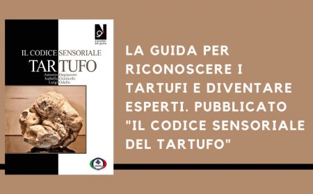La guida per riconoscere i tartufi e diventare esperti. Pubblicato "Il Codice Sensoriale del Tartufo"