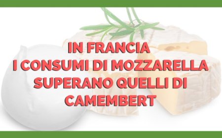 In Francia i consumi di mozzarella superano quelli di Camembert