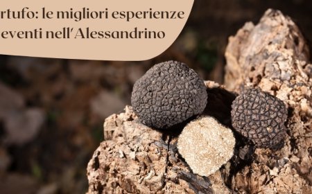 Tartufo: le migliori esperienze ed eventi nell'Alessandrino