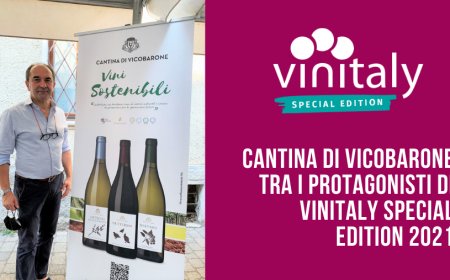 Cantina di Vicobarone tra i protagonisti di Vinitaly Special Edition 2021