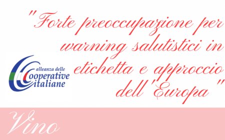 Vino. Alleanza Cooperative: "Forte preoccupazione per warning salutistici in etichetta e approccio dell'Europa"