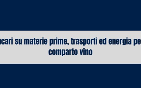 Rincari su materie prime, trasporti ed energia per il comparto vino