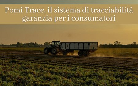 Pomì Trace, il sistema di tracciabilità garanzia per i consumatori