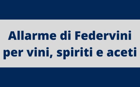 Allarme di Federvini per vini, spiriti e aceti