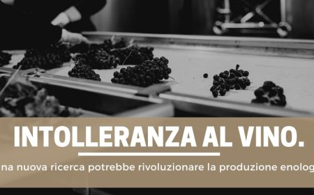 Intolleranza al vino. Una nuova ricerca potrebbe rivoluzionare la produzione enologica