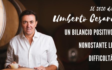 Il 2020 di Umberto Cesari: un bilancio positivo nonostante le difficoltà