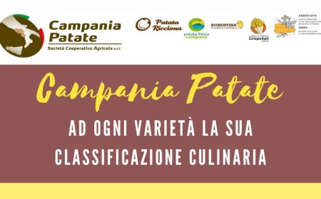 Campania Patate: ad ogni varietà la sua classificazione culinaria