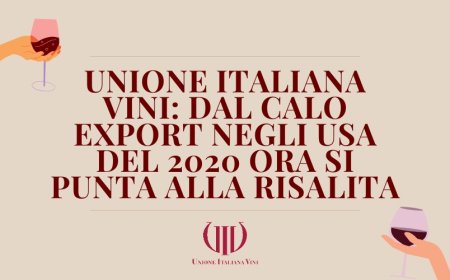 Unione Italiana Vini: dal calo export negli USA del 2020 ora si punta alla risalita