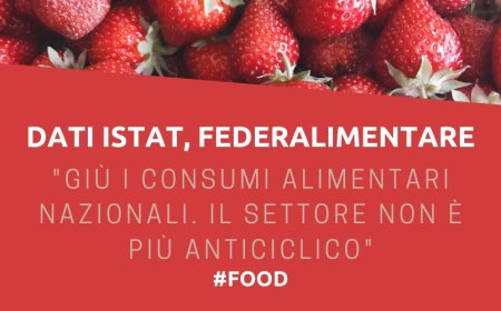Dati Istat, Federalimentare: "Giù i consumi alimentari nazionali. Il settore non è più anticiclico"