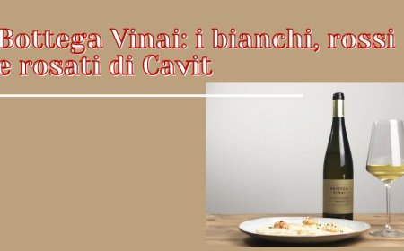 Bottega Vinai: i bianchi, rossi e rosati di Cavit