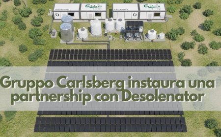 Gruppo Carlsberg instaura una partnership con Desolenator