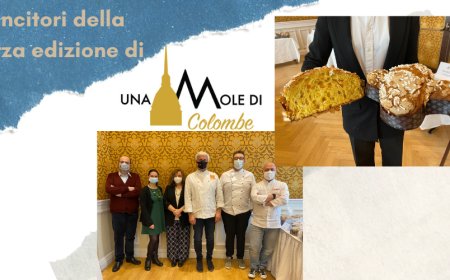 I vincitori della terza edizione di Una Mole di Colombe