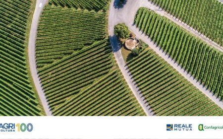 AGRIcoltura100: la sostenibilità delle imprese agricole per la ripresa del Paese