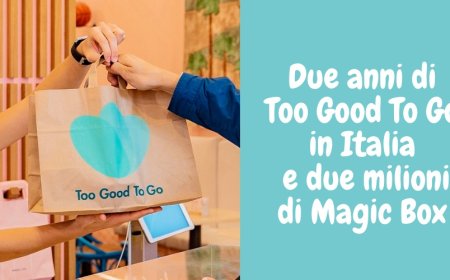 Due anni di Too Good To Go in Italia e due milioni di Magic Box