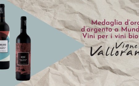Medaglia d’oro e d’argento a Mundus Vini per i vini bio di Vigneti Vallorani