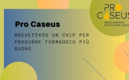 Pro Caseus: brevettato un chip per produrre formaggio più buono