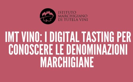 IMT Vino: i digital tasting per conoscere le denominazioni marchigiane