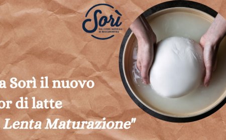 Yogurt fatto in casa? Da oggi puoi usare i fermenti cameo - Notizie dal  mondo Horeca e del Foodservice