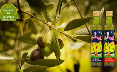 Irpinia protagonista nella Guida “Oli d’Italia 2021” del Gambero Rosso