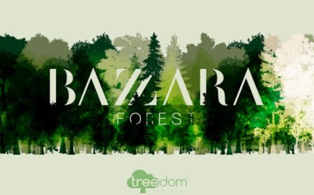 Bazzara avvia una collaborazione con Treedom