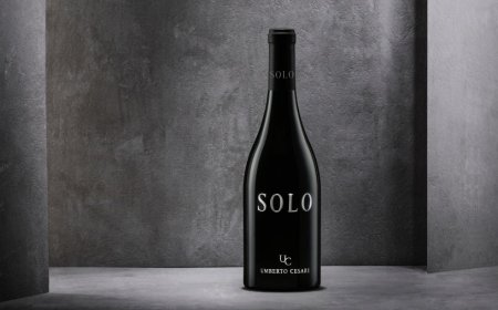 Solo, il vino di Umberto Cesari nato dal nuovo vitigno Merlese