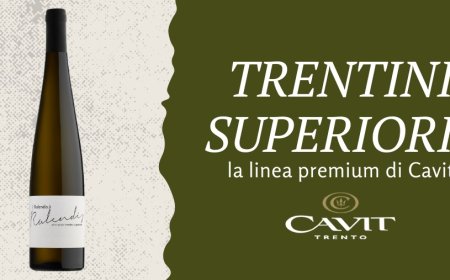 Trentini Superiori: la linea premium di Cavit