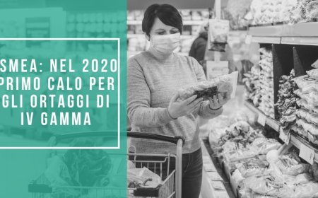 ISMEA: nel 2020 primo calo per gli ortaggi di IV gamma