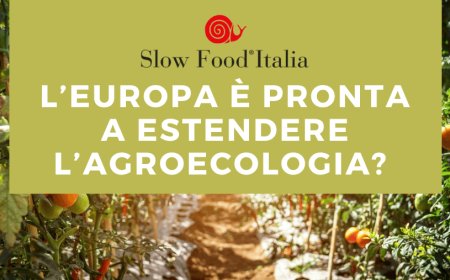 L’Europa è pronta a estendere l’agroecologia?