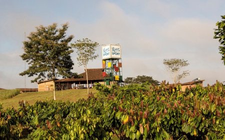 Ritter Sport partner di Trento Film Festival