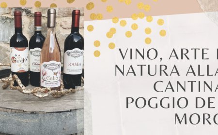 Vino, arte e natura alla cantina Poggio del Moro