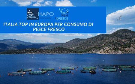 HAPO: Italia top in Europa per consumo di pesce fresco