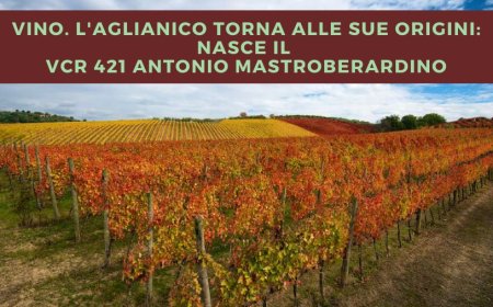 Vino. L'Aglianico torna alle sue origini: nasce il VCR 421 Antonio Mastroberardino