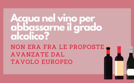Acqua nel vino per abbassarne il grado alcolico? Non era fra le proposte avanzate dal tavolo europeo