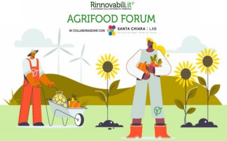 Agrifood Forum: le sfide del sistema alimentare italiano per produrre meglio e consumare meno