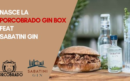 Nasce la Porcobrado Gin Box feat Sabatini Gin
