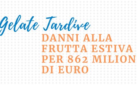 Gelate tardive: danni alla frutta estiva per 862 milioni di euro